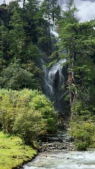 辽宁坏消息,张镇麟因伤缺阵,战山东,赵继伟弗格要拼尽全力了